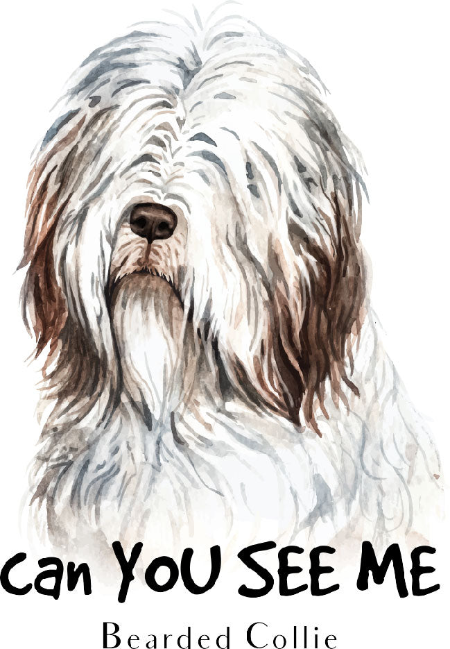 Bearded Collie Can you see me vinyl sticker Ready To Press DTF Transfer  Buy Bulk DTF   