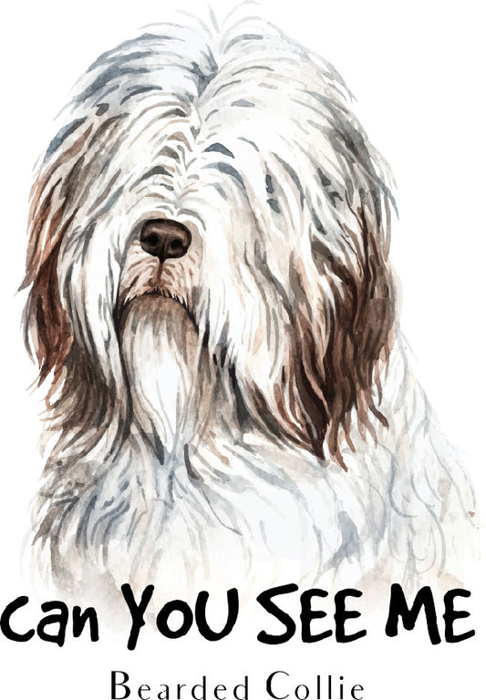 Bearded Collie Can you see me vinyl sticker Ready To Press DTF Transfer