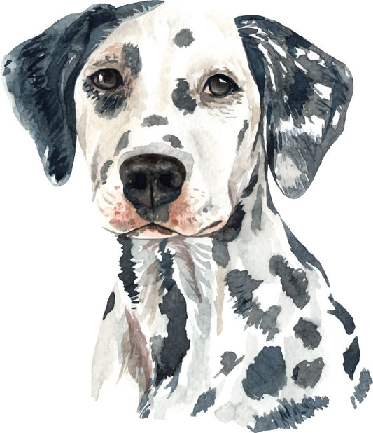 Dalmatian Dog Watercolor Print Vinyl Sticker Ready To Press DTF Transfer