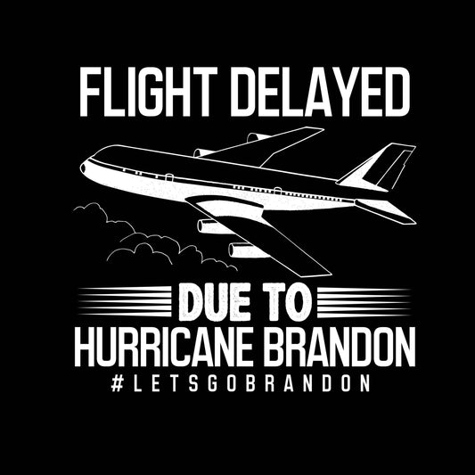 Flight Delayed Due To Hurricane Brandon - Ready To Press DTF Transfer