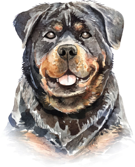Rottweiler Dog Portrait Vinyl Sticker Ready To Press DTF Transfer