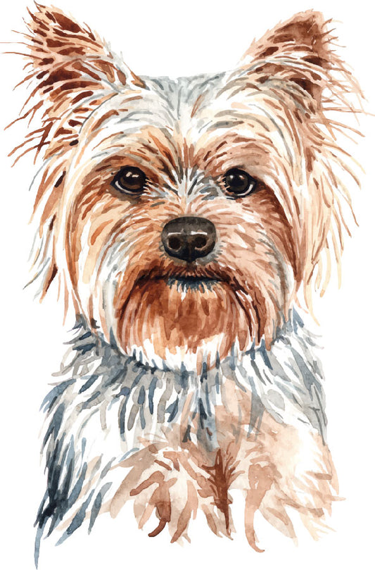 Yorkshire Terrier Ready To Press DTF Transfer